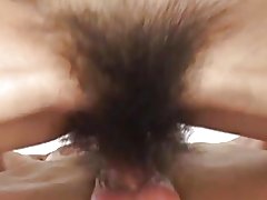 Hairyest punci bvr